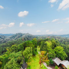 桃花源国家森林公园